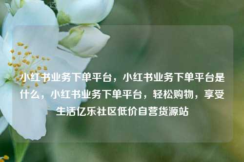 小红书业务下单平台，小红书业务下单平台是什么，小红书业务下单平台	，轻松购物，享受生活亿乐社区低价自营货源站  第1张
