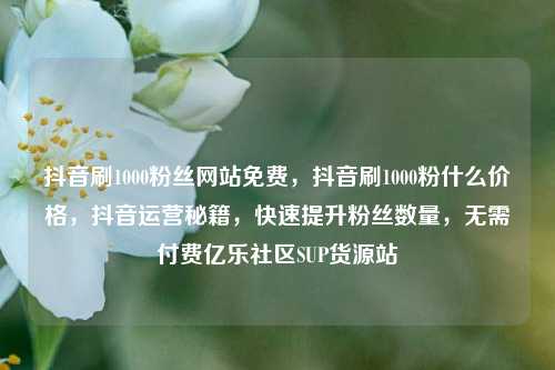 抖音刷1000粉丝网站免费，抖音刷1000粉什么价格	，抖音运营秘籍，快速提升粉丝数量，无需付费亿乐社区SUP货源站  第1张