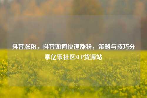 抖音涨粉，抖音如何快速涨粉，策略与技巧分享亿乐社区SUP货源站  第1张
