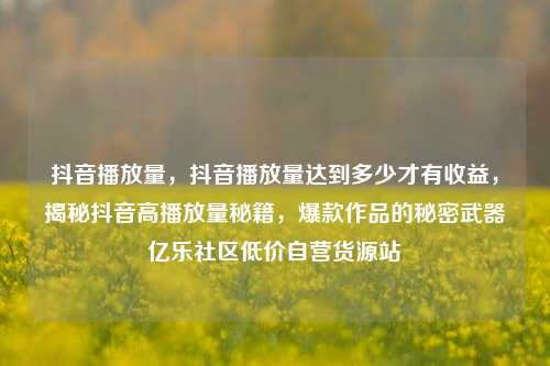 抖音播放量，抖音播放量达到多少才有收益，揭秘抖音高播放量秘籍	，爆款作品的秘密武器亿乐社区低价自营货源站  第1张
