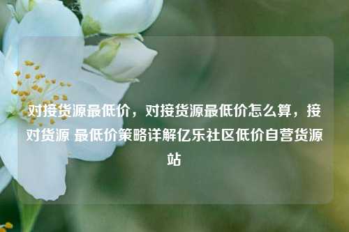 对接货源最低价	，对接货源最低价怎么算，接对货源 最低价策略详解亿乐社区低价自营货源站  第1张