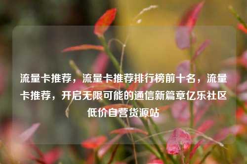 流量卡推荐，流量卡推荐排行榜前十名，流量卡推荐	，开启无限可能的通信新篇章亿乐社区低价自营货源站  第1张