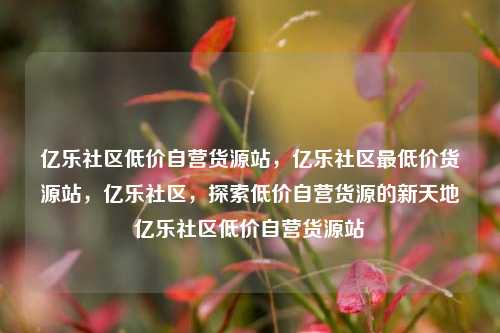 亿乐社区低价自营货源站	，亿乐社区最低价货源站，亿乐社区，探索低价自营货源的新天地亿乐社区低价自营货源站  第1张