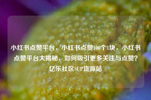 小红书点赞平台，小红书点赞100个1块，小红书点赞平台大揭秘	，如何吸引更多关注与点赞？亿乐社区SUP货源站  第1张