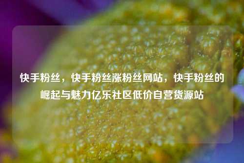 快手粉丝，快手粉丝涨粉丝网站	，快手粉丝的崛起与魅力亿乐社区低价自营货源站  第1张