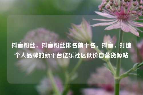 抖音粉丝	，抖音粉丝排名前十名，抖音，打造个人品牌的新平台亿乐社区低价自营货源站  第1张
