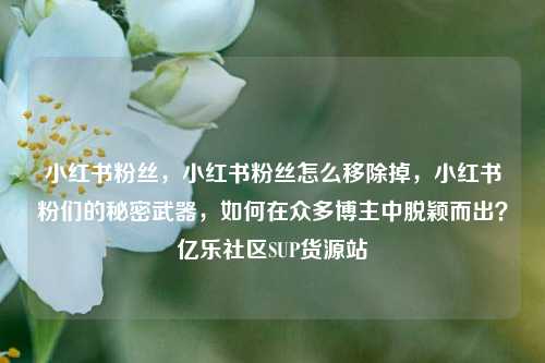 小红书粉丝	，小红书粉丝怎么移除掉，小红书粉们的秘密武器，如何在众多博主中脱颖而出？亿乐社区SUP货源站  第1张