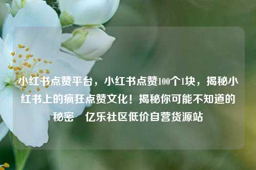 小红书点赞平台	，小红书点赞100个1块，揭秘小红书上的疯狂点赞文化！揭秘你可能不知道的秘密✨亿乐社区低价自营货源站  第1张