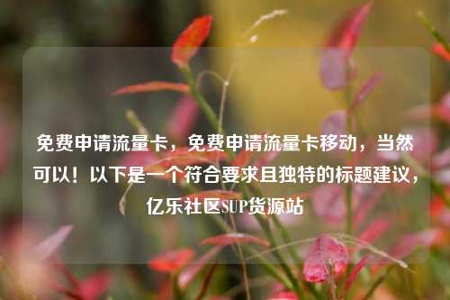 免费申请流量卡，免费申请流量卡移动	，当然可以！以下是一个符合要求且独特的标题建议，亿乐社区SUP货源站  第1张