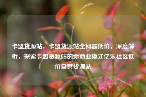 卡盟货源站，卡盟货源站全网最低价	，深度解析，探索卡盟货源站的新商业模式亿乐社区低价自营货源站  第1张
