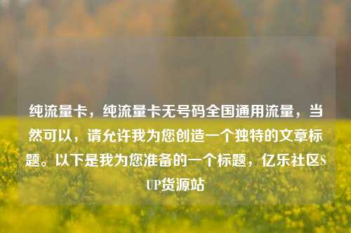 纯流量卡，纯流量卡无号码全国通用流量，当然可以，请允许我为您创造一个独特的文章标题。以下是我为您准备的一个标题	，亿乐社区SUP货源站  第1张