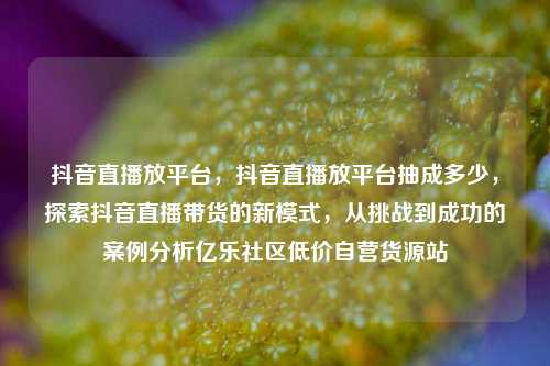 抖音直播放平台，抖音直播放平台抽成多少，探索抖音直播带货的新模式	，从挑战到成功的案例分析亿乐社区低价自营货源站  第1张