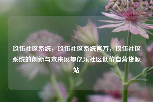 玖伍社区系统，玖伍社区系统官方，玖伍社区系统的创新与未来展望亿乐社区低价自营货源站  第1张