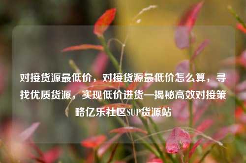 对接货源最低价，对接货源最低价怎么算	，寻找优质货源，实现低价进货—揭秘高效对接策略亿乐社区SUP货源站  第1张