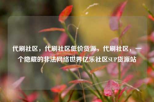 代刷社区，代刷社区低价货源	，代刷社区，一个隐藏的非法网络世界亿乐社区SUP货源站  第1张