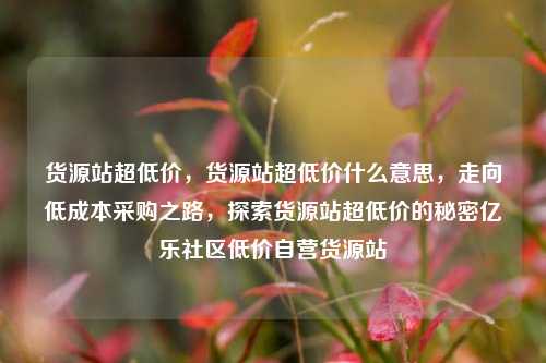 货源站超低价	，货源站超低价什么意思，走向低成本采购之路，探索货源站超低价的秘密亿乐社区低价自营货源站  第1张