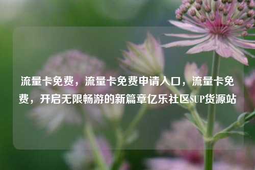 流量卡免费，流量卡免费申请入口，流量卡免费	，开启无限畅游的新篇章亿乐社区SUP货源站  第1张