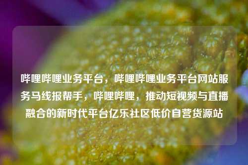 哔哩哔哩业务平台，哔哩哔哩业务平台网站服务马线报帮手，哔哩哔哩	，推动短视频与直播融合的新时代平台亿乐社区低价自营货源站  第1张