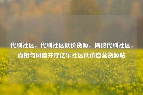 代刷社区，代刷社区低价货源，揭秘代刷社区	，真相与风险并存亿乐社区低价自营货源站  第1张