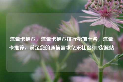 流量卡推荐，流量卡推荐排行榜前十名，流量卡推荐	，满足您的通信需求亿乐社区SUP货源站  第1张