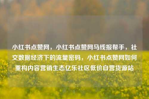 小红书点赞网	，小红书点赞网马线报帮手，社交数据经济下的流量密码，小红书点赞网如何重构内容营销生态亿乐社区低价自营货源站  第1张