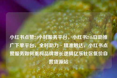 小红书点赞24小时服务平台	，小红书24h自助推广下单平台，全时助力·精准触达，小红书点赞服务如何重构品牌增长逻辑亿乐社区低价自营货源站  第1张