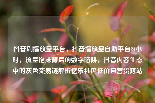 抖音刷播放量平台，抖音播放量自助平台24小时，流量泡沫背后的数字陷阱	，抖音内容生态中的灰色交易链解析亿乐社区低价自营货源站  第1张